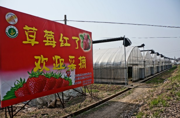 圖片關鍵詞