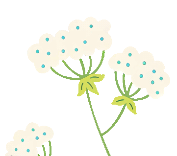 01.gif